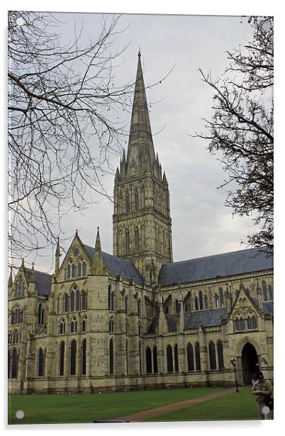  Salisbury Cathedral Acrylic by Tony Murtagh