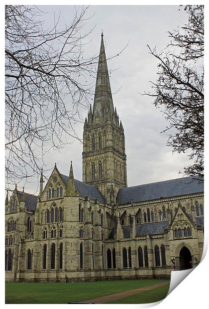  Salisbury Cathedral Print by Tony Murtagh