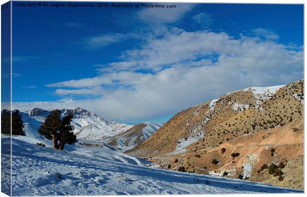 Winter beauty on mountain, Canvas Print by Ali asghar Mazinanian