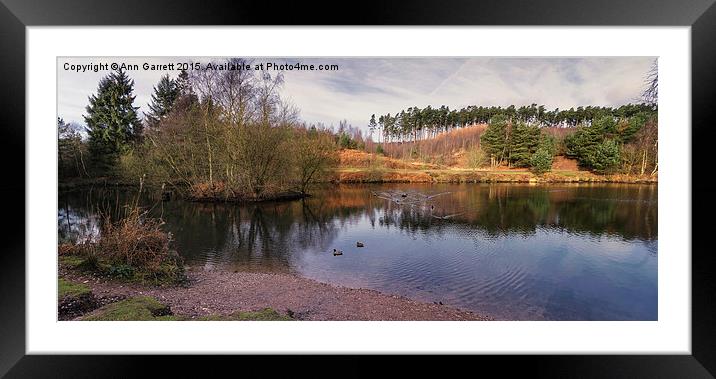 Fishing Pool, Birches Valley, Cannock Chase Framed Mounted Print by Ann Garrett