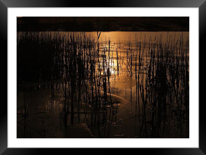 Icy Pond Framed Mounted Print by Simon Drew