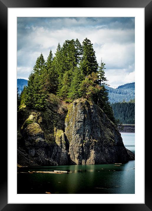  Growing from Rock Framed Mounted Print by Belinda Greb