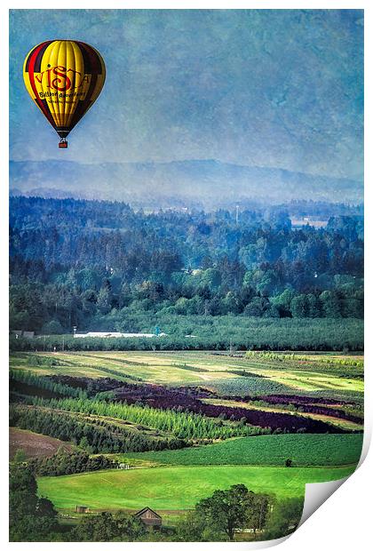 Above It All  Print by Belinda Greb