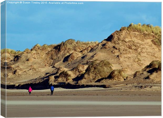 Coastal defence Canvas Print by Susan Tinsley