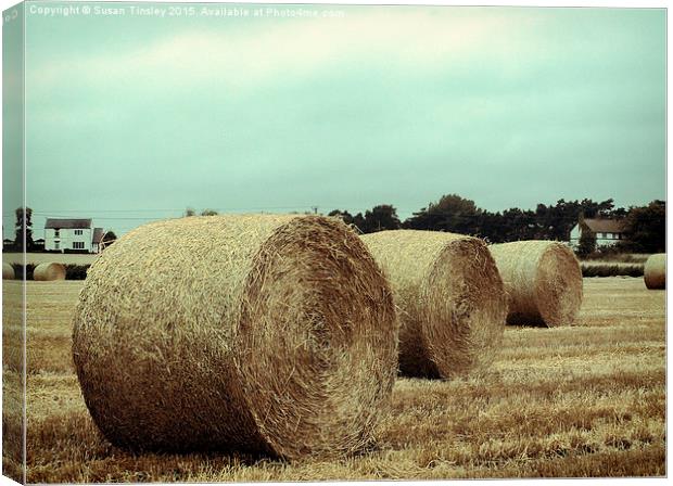 Bales of hay Canvas Print by Susan Tinsley