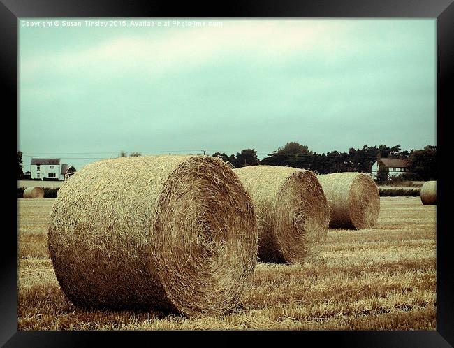 Bales of hay Framed Print by Susan Tinsley