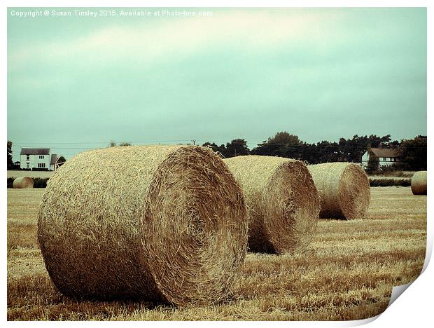 Bales of hay Print by Susan Tinsley