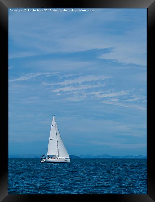 Sailing in the Hauraki Gulf  Framed Print by Barrie May