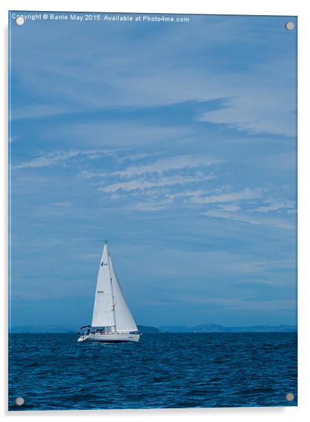 Sailing in the Hauraki Gulf  Acrylic by Barrie May