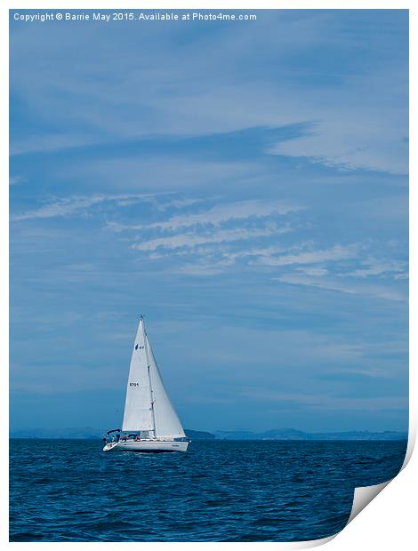 Sailing in the Hauraki Gulf  Print by Barrie May