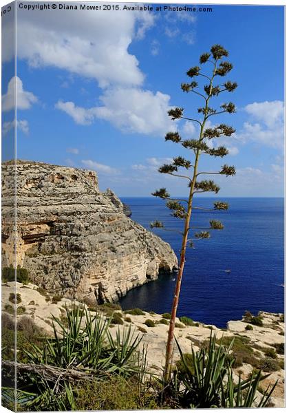  Blue Grotto Coast Malta  Canvas Print by Diana Mower