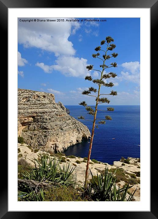  Blue Grotto Coast Malta  Framed Mounted Print by Diana Mower