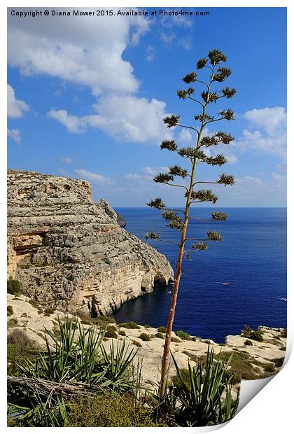  Blue Grotto Coast Malta  Print by Diana Mower