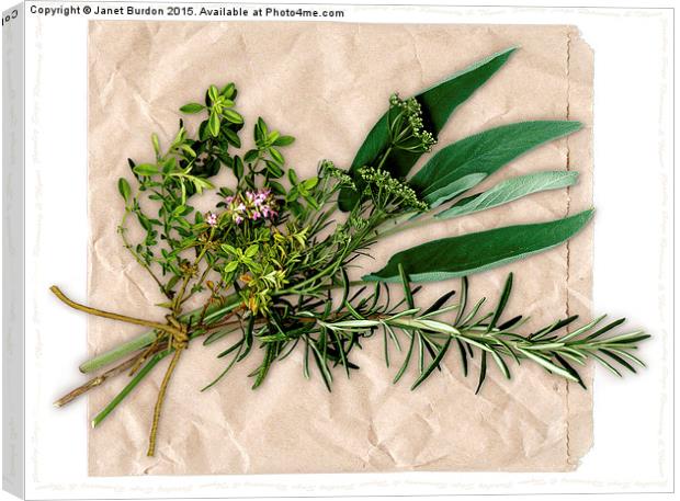 Herbs Canvas Print by Janet Burdon
