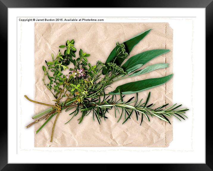 Herbs Framed Mounted Print by Janet Burdon