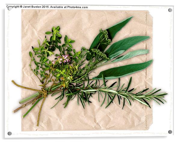 Herbs Acrylic by Janet Burdon