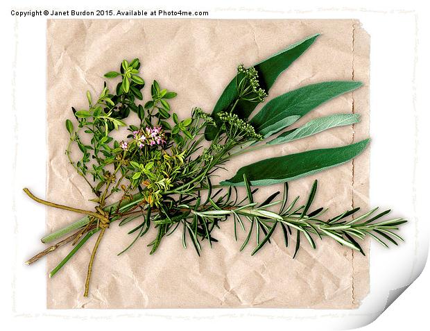 Herbs Print by Janet Burdon