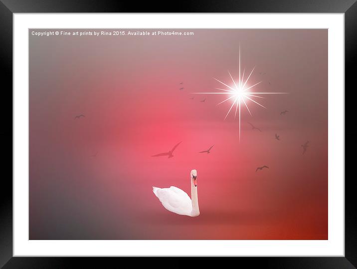  The Swan Framed Mounted Print by Fine art by Rina