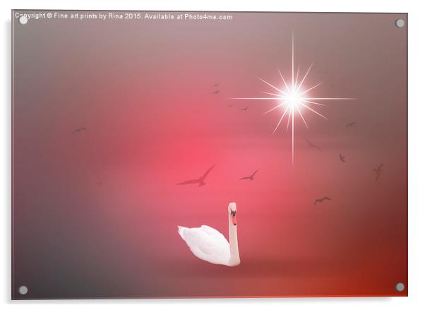  The Swan Acrylic by Fine art by Rina