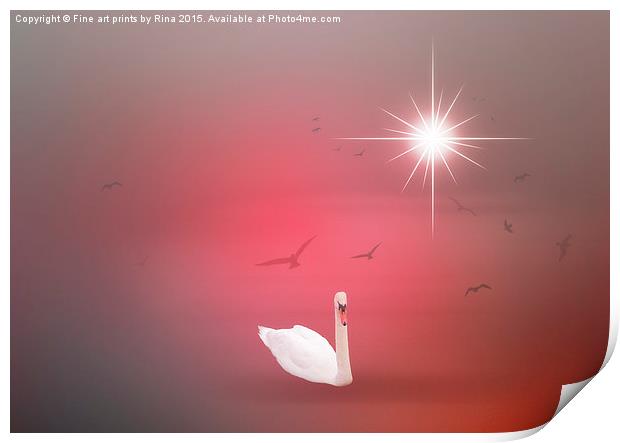  The Swan Print by Fine art by Rina