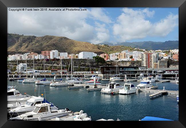  A marina in Funchal Framed Print by Frank Irwin