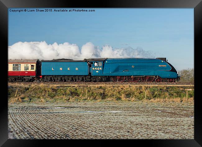  LNER Class A4 4464 Bittern Steam Locomotive Framed Print by Liam Shaw