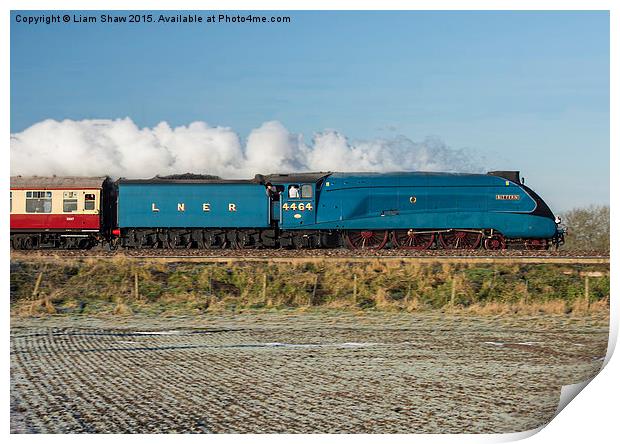  LNER Class A4 4464 Bittern Steam Locomotive Print by Liam Shaw