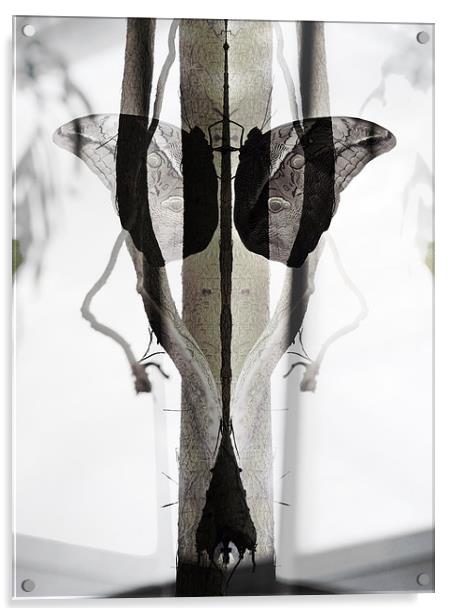  Symmetry Acrylic by Iona Newton