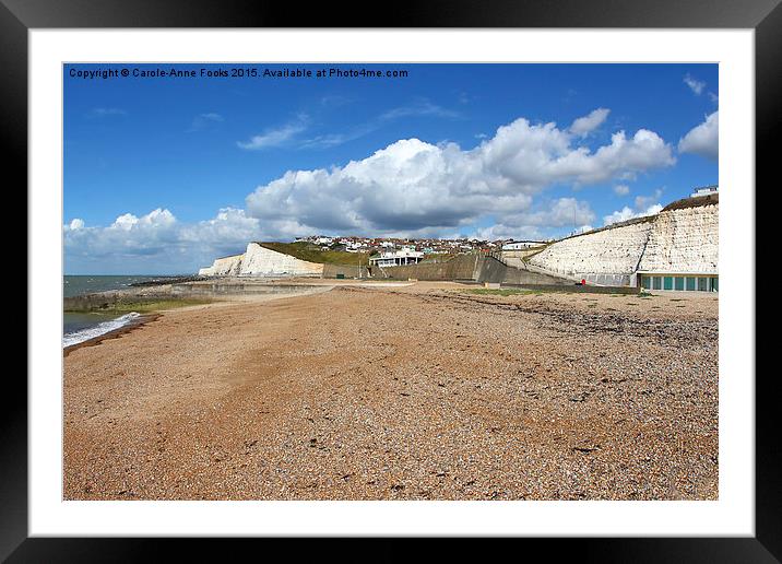 Chalk Cliffs at Saltdean East Sussex Framed Mounted Print by Carole-Anne Fooks