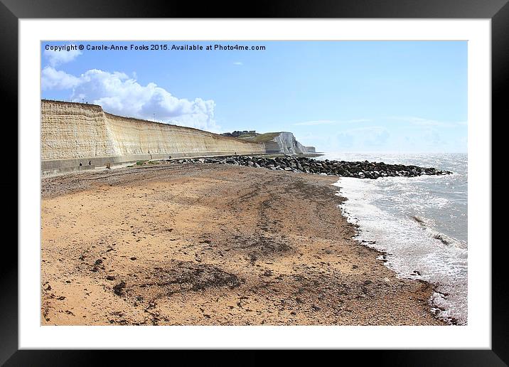  Chalk Cliffs at Saltdean East Sussex Framed Mounted Print by Carole-Anne Fooks