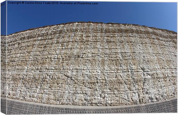  Chalk Cliffs at Saltdean East Sussex Canvas Print by Carole-Anne Fooks