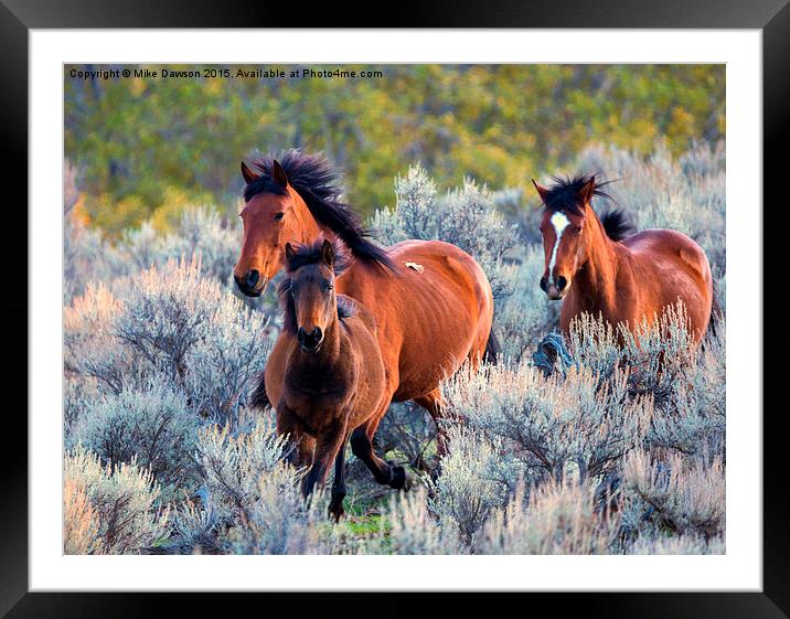 Running Free Framed Mounted Print by Mike Dawson