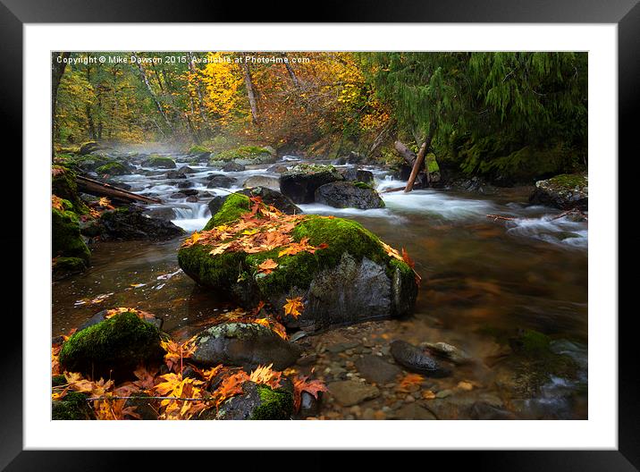 Autumn Stream Framed Mounted Print by Mike Dawson