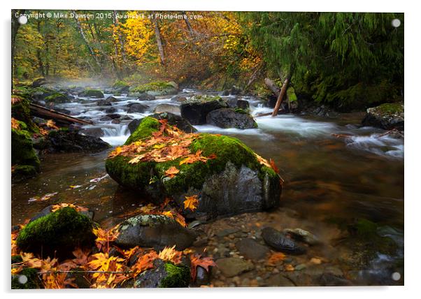 Autumn Stream Acrylic by Mike Dawson