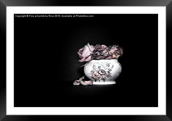  Demise of the rose Framed Mounted Print by Fine art by Rina