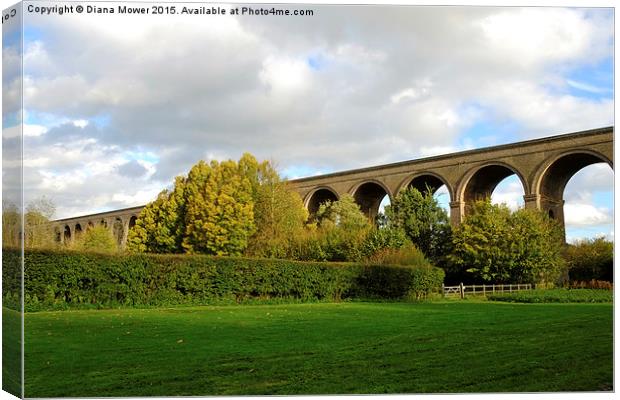  Chappel Viaduct Canvas Print by Diana Mower