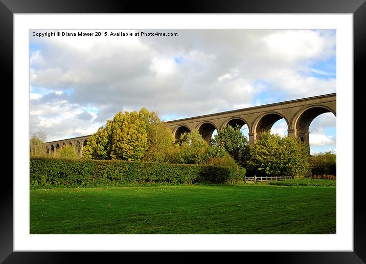  Chappel Viaduct Framed Mounted Print by Diana Mower