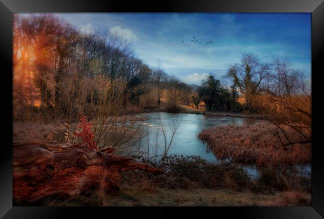 Malvern Autumn Scene Framed Print by Jason Green