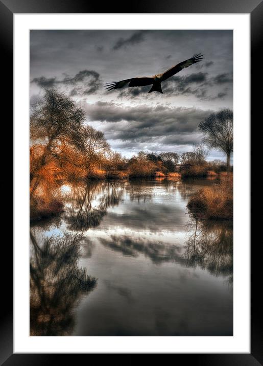  On the hunt Framed Mounted Print by Jason Green