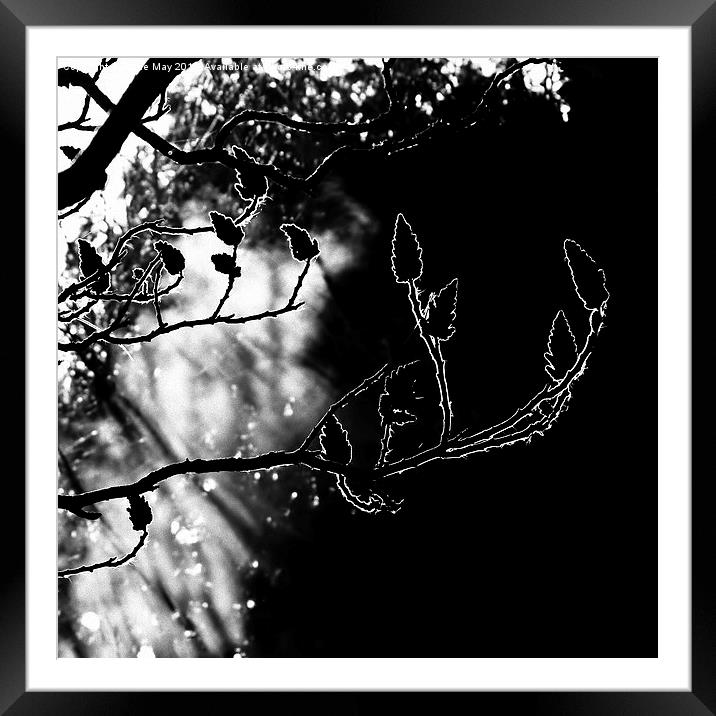 Sunshine,Smoke and Silhouette Framed Mounted Print by Barrie May