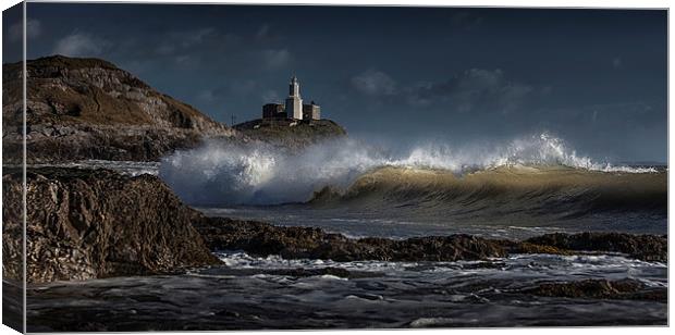  The wave at Bracelet Bay Canvas Print by Leighton Collins