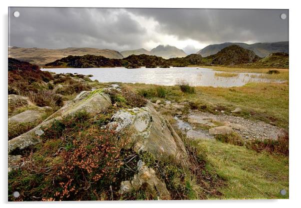   Innominate Tarn English Lake District Cumbria Acrylic by Gary Kenyon