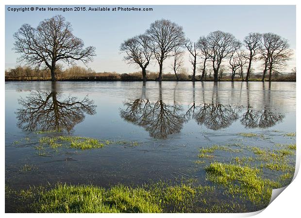  Reflections in flood water Print by Pete Hemington