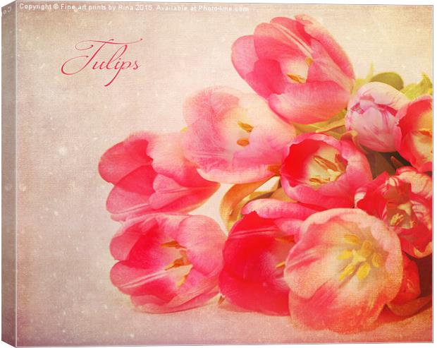 Tulips Canvas Print by Fine art by Rina