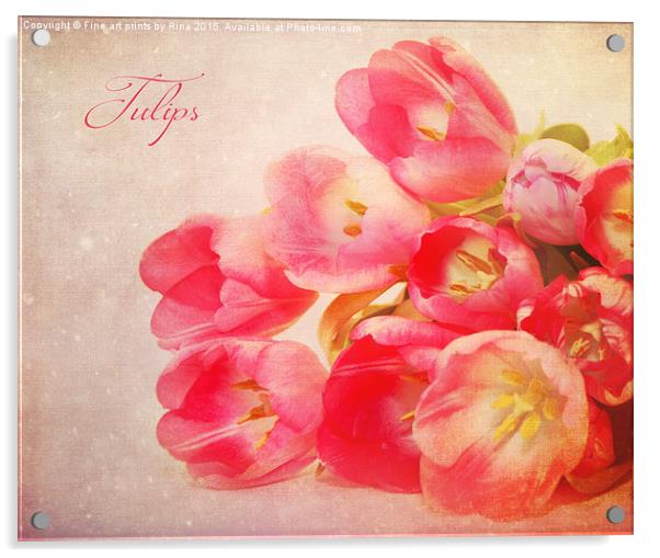  Tulips Acrylic by Fine art by Rina
