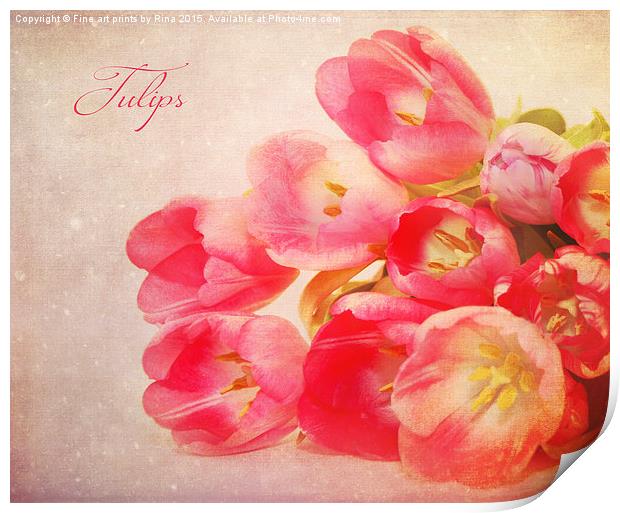  Tulips Print by Fine art by Rina