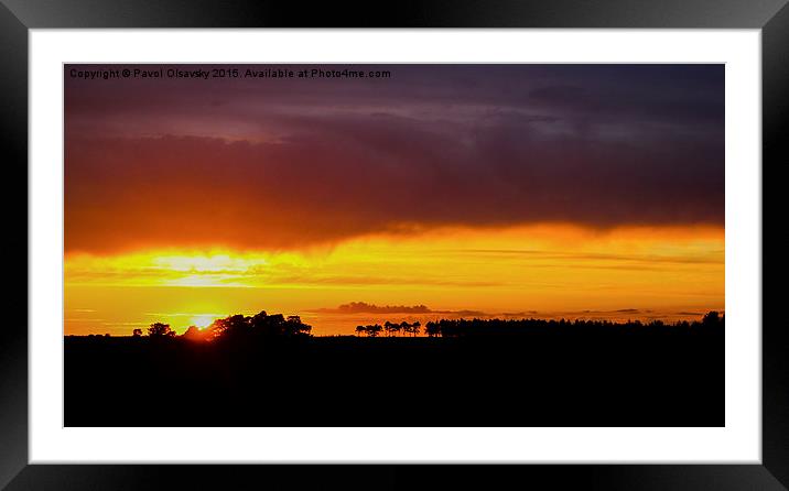  sunset over New Forest  Framed Mounted Print by Pavol Olsavsky