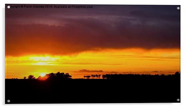  sunset over New Forest  Acrylic by Pavol Olsavsky