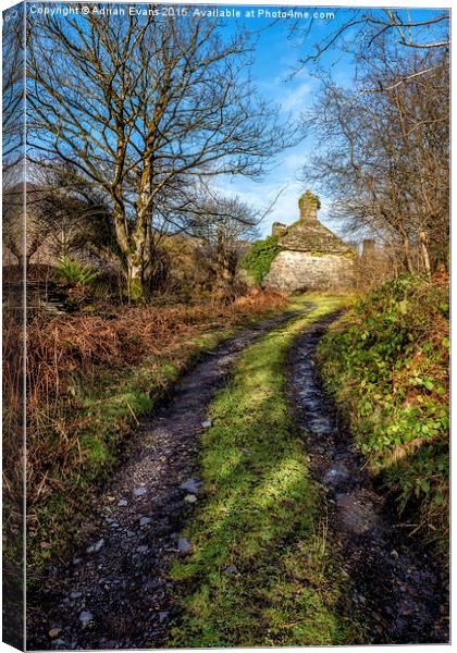 Old Cottage Canvas Print by Adrian Evans