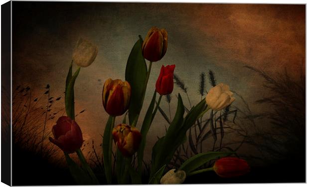  Tulips and grasses Canvas Print by Eddie John